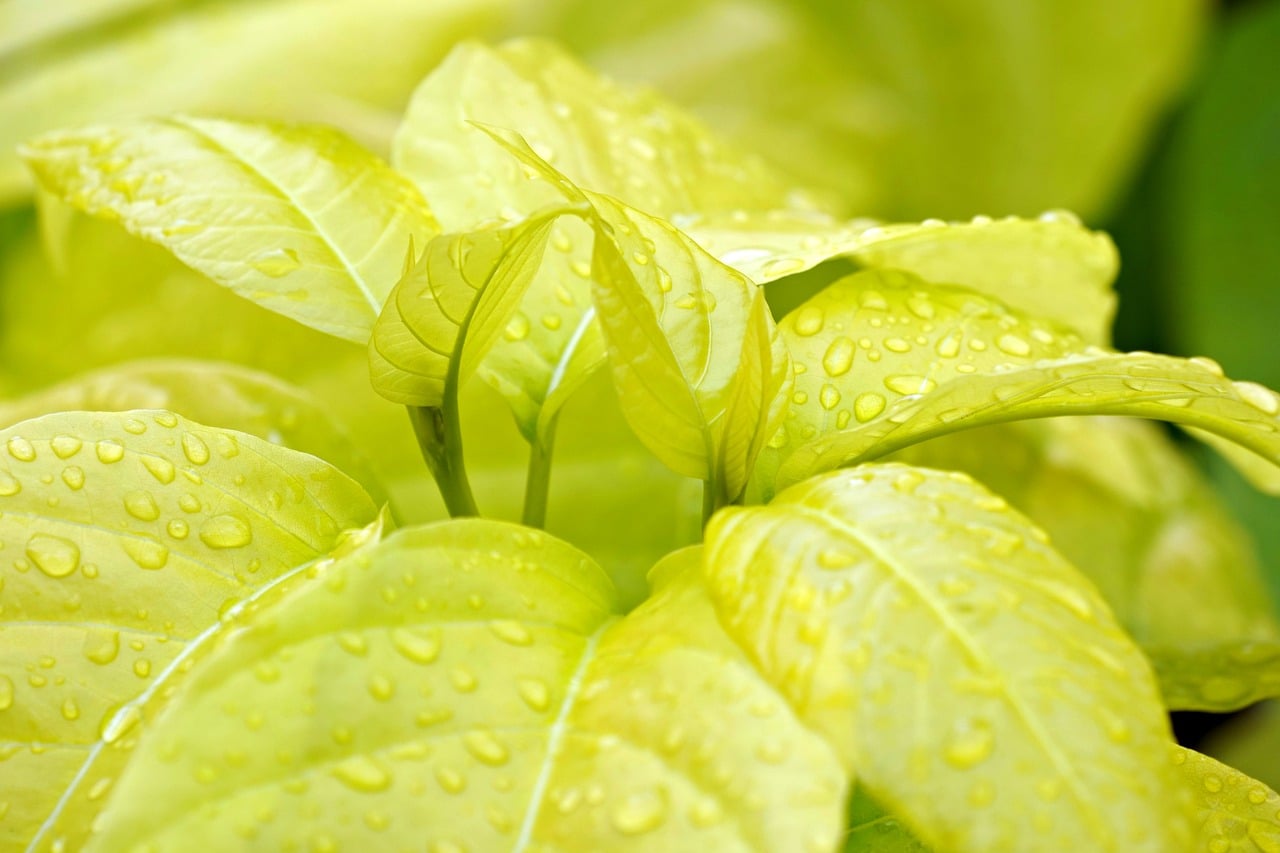 Ideas for Selecting the Finest and Most Environment friendly Electrical energy AC Model