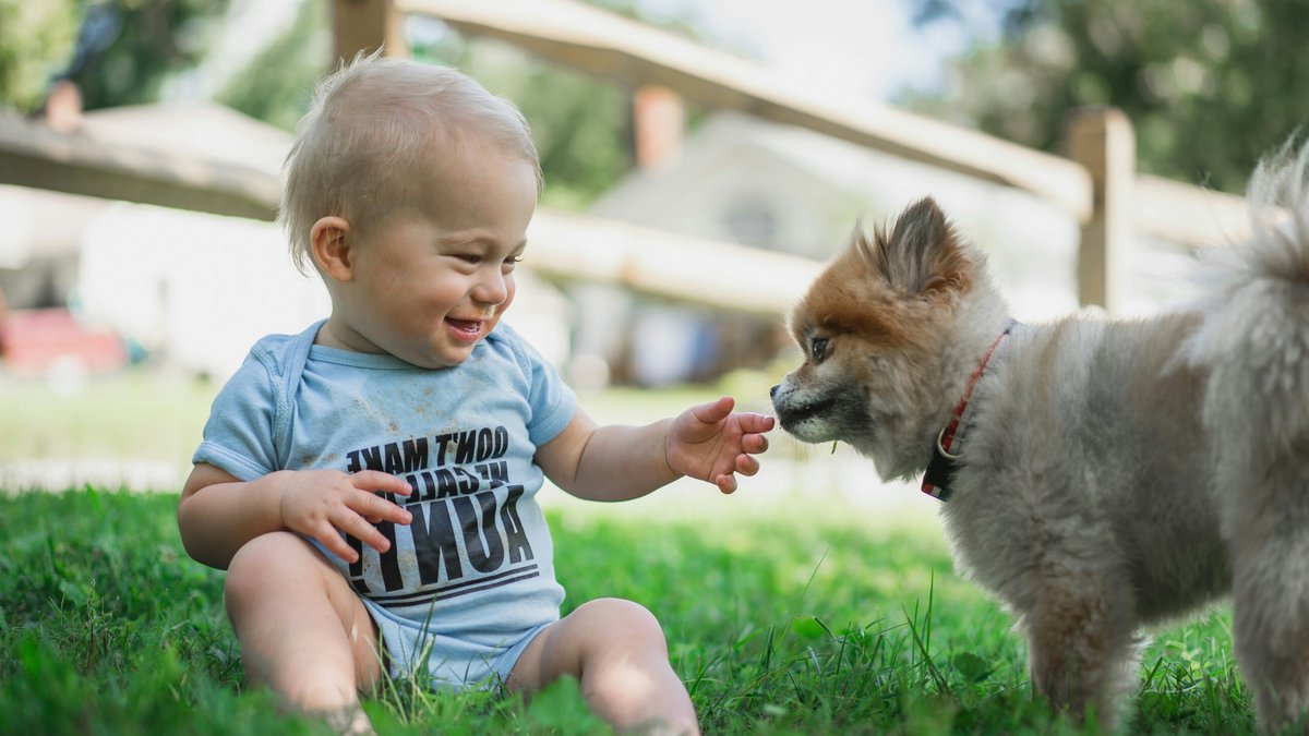 Dogs May Boost Baby Immune Health via Microbes Dogs May Boost Baby Immune Health via Microbes - dogs baby immune health
