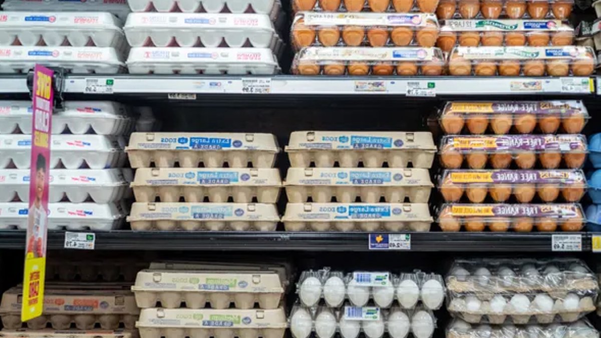 Cal-Maine to donate 30 million eggs in settlement Cal-Maine to donate 30 million eggs in settlement - egg price fixing