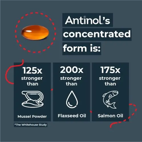 Antinol Bổ khớp  dưỡng lông cho chó, kích mọc lông Antinol®️ EAB 277™