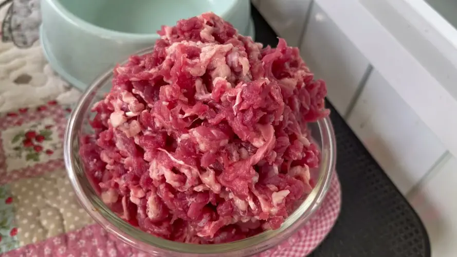 Chó Pom Ăn Gì? Thức ăn Tốt Nhất Cho Chó Phốc Sóc Và Chó Phốc Sóc Con