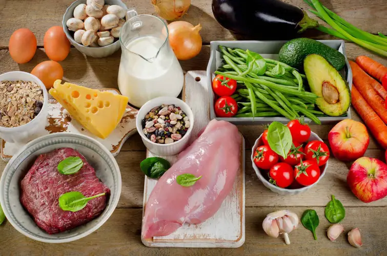 Chế độ ăn cân bằng cho chó phốc sóc