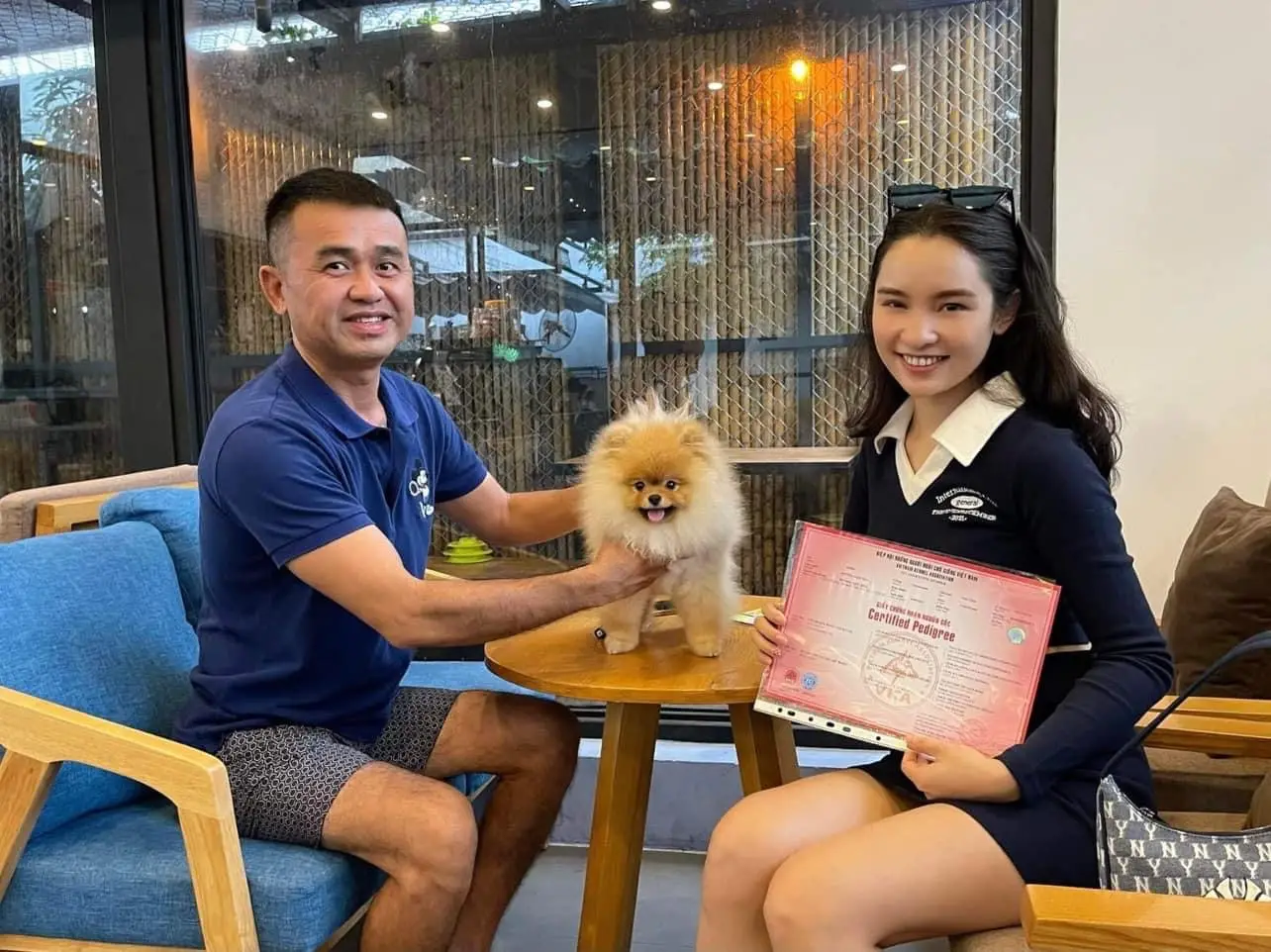 Chó phốc sóc - Chuyên trang về giống chó Pomeranian Làm sao để chọn được con Pomeranian tốt nhất trong các bé cún con tại chỗ nuôi? cách chọn chó phốc sóc Kiến thức cơ bản về giống chó phốc sóc