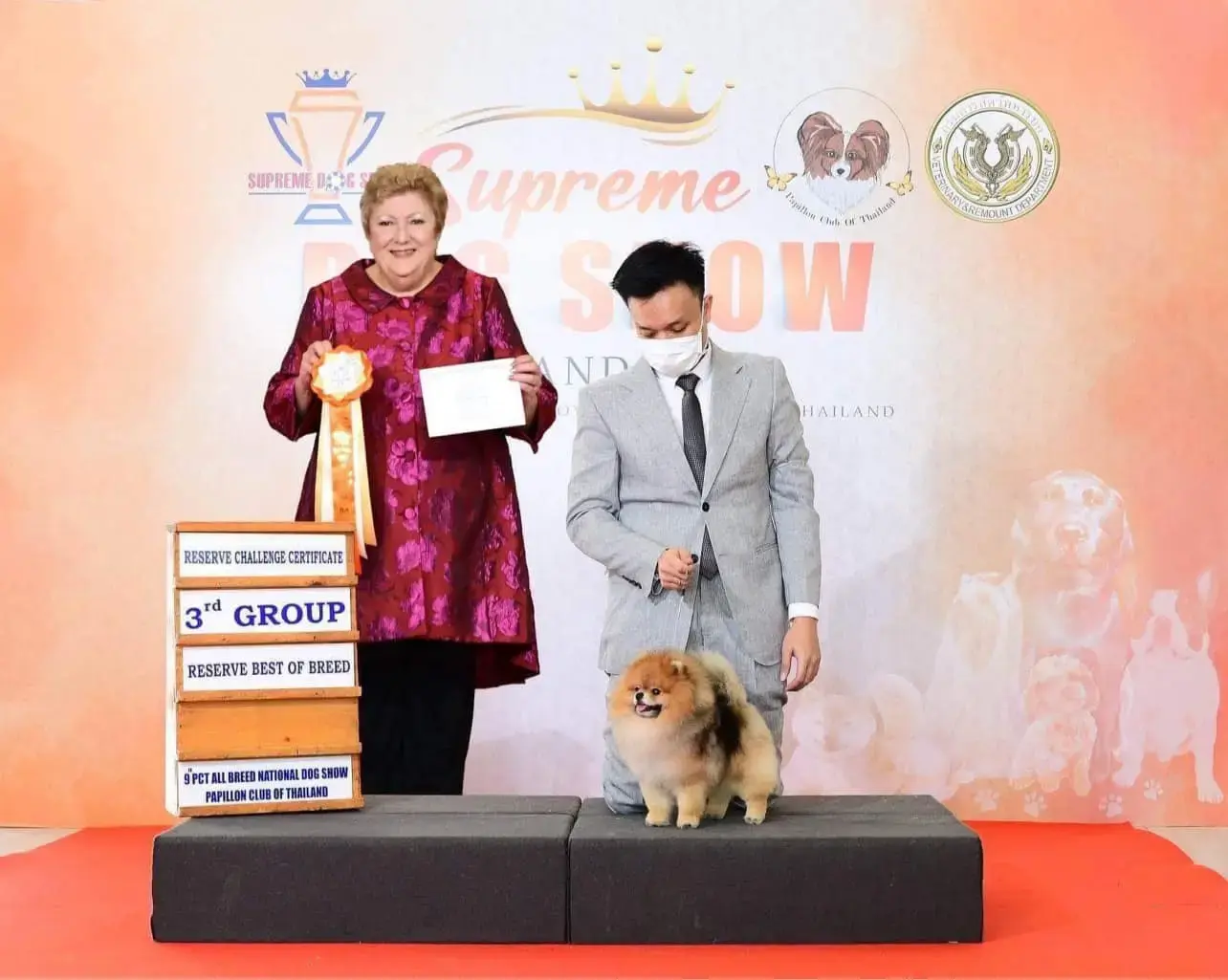 Chó phốc sóc - Chuyên trang về giống chó Pomeranian Nhân giống Pomeranian (phối giống pom) Để Đạt Được Màu Lông Mong Muốn: Di Truyền Học Màu Lông nhân giống pom Kinh nghiệm chăm sóc chó sinh sản