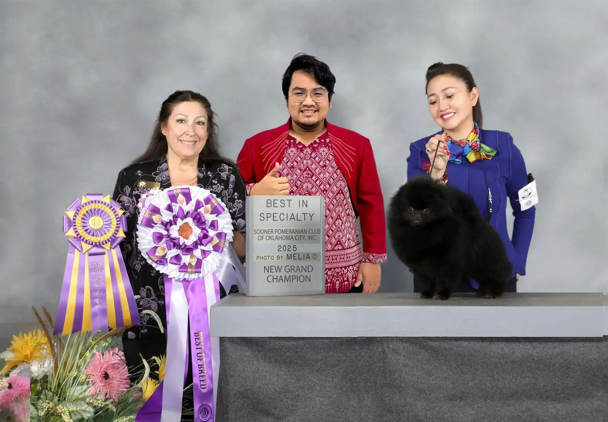 Chó phốc sóc - Chuyên trang về giống chó Pomeranian Nhân giống Pomeranian (phối giống pom) Để Đạt Được Màu Lông Mong Muốn: Di Truyền Học Màu Lông nhân giống pom Kinh nghiệm chăm sóc chó sinh sản