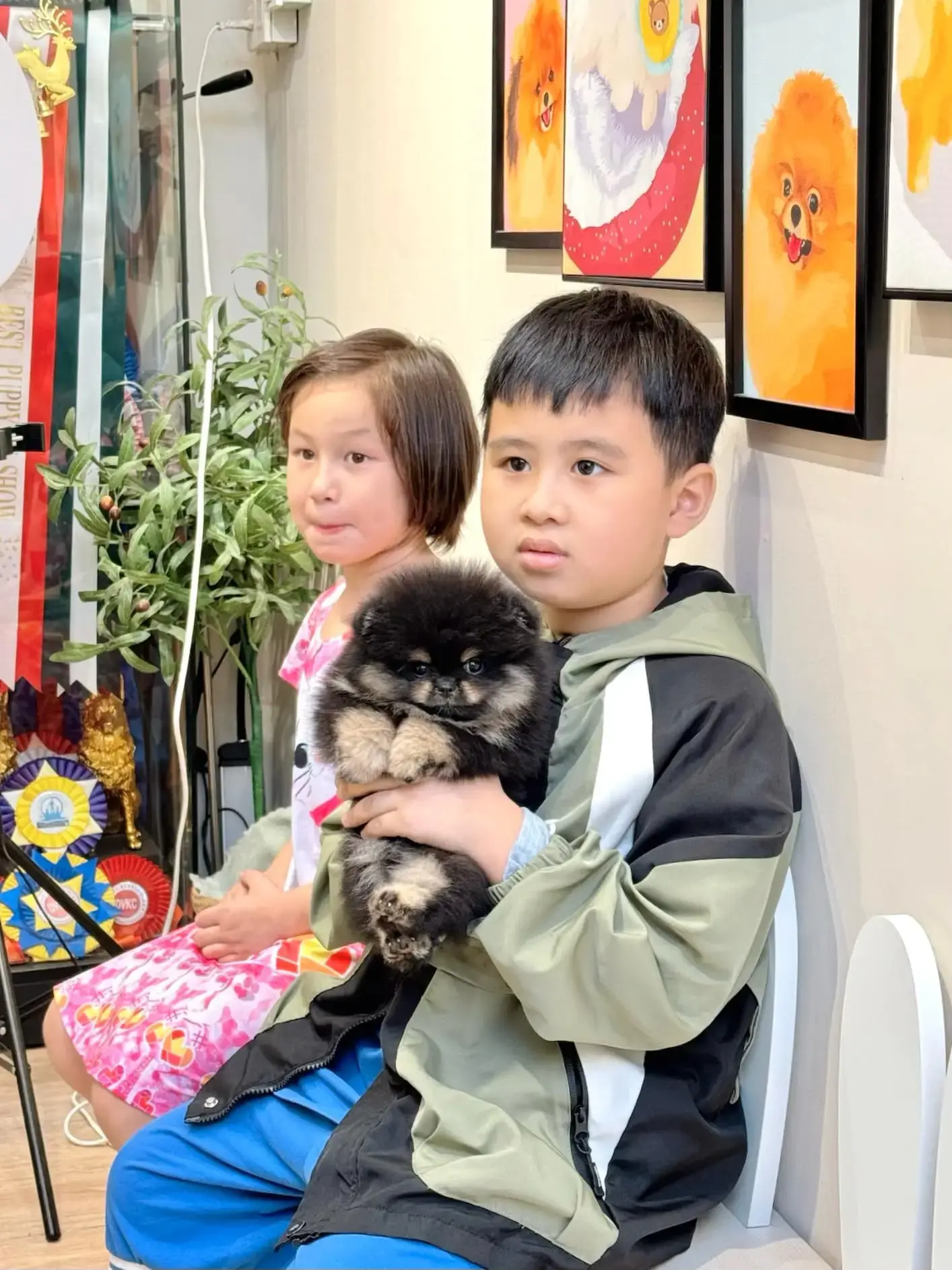 Chó phốc sóc - Chuyên trang về giống chó Pomeranian Cách cho chó pom ăn. Nên cho chó pomeranian ăn theo giờ hay ăn tự do? Cách cho chó pom ăn Kiến thức cơ bản về giống chó phốc sóc