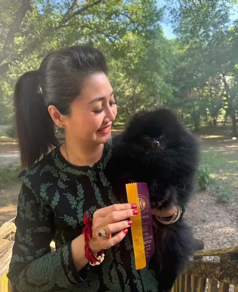 Chó phốc sóc - Chuyên trang về giống chó Pomeranian Pomeranian màu đen – Bí mật vẻ đẹp quyến rũ và cá tính độc đáo của giống chó "tuyệt phẩm" chó pom màu đen Kiến thức cơ bản về giống chó phốc sóc