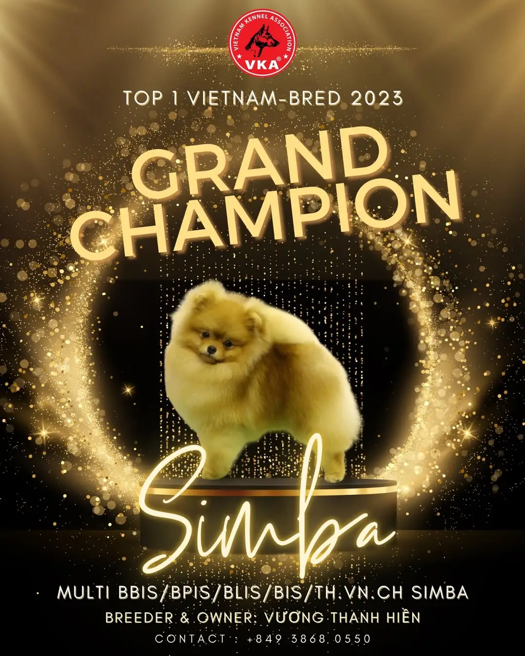 Chó phốc sóc - Chuyên trang về giống chó Pomeranian Pomeranian và Spitz - Khám Phá Vẻ Đẹp và Tính Cách Của Hai Giống Chó Dễ Thương Pomeranian và Spitz Kiến thức cơ bản về giống chó phốc sóc