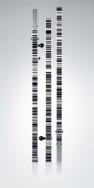 Leica GKNL4m 4 Section Bar Coded Staff Thumbnail 1