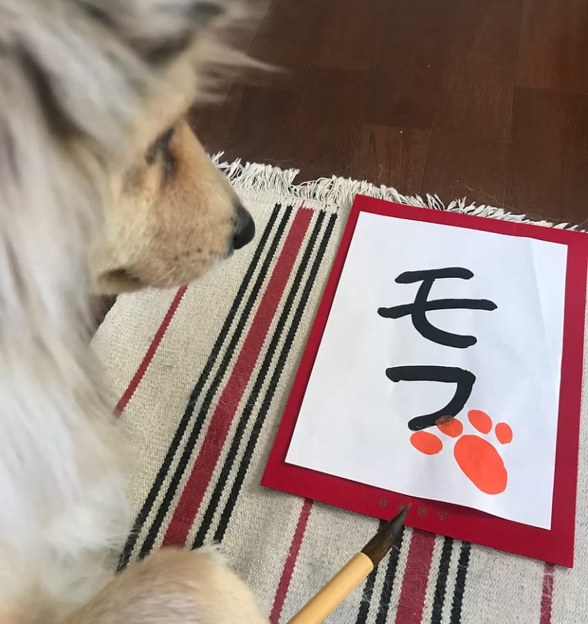 モフモフ書道