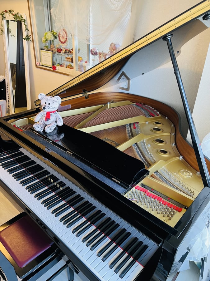 Bears Music べアーズ ミュージック
