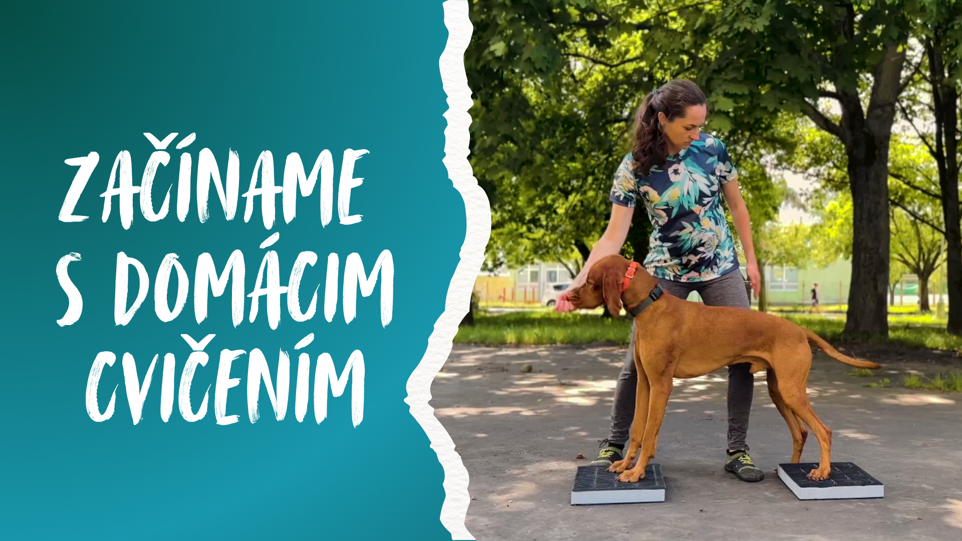 Začíname s domácim cvičením