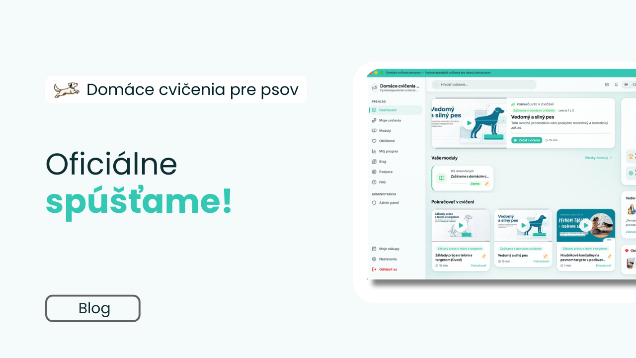 Oficiálne spúšťame! Platforma Domáce cvičenia pre psov je spustená