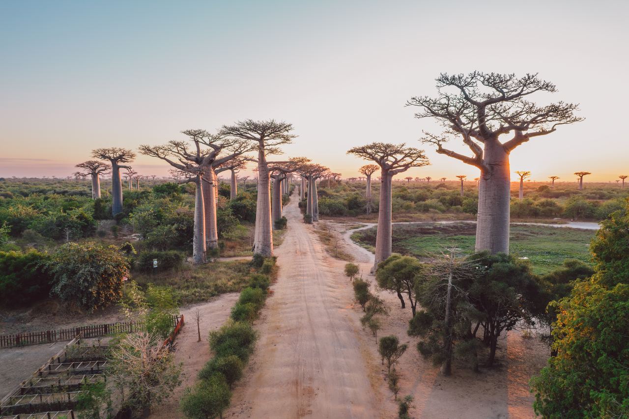 West Madagascar