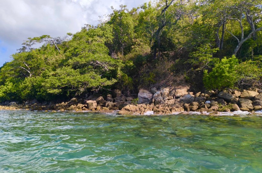 Frondosa selva costera del Parque Nacional de Lokobe con densa vegetación y árboles imponentes