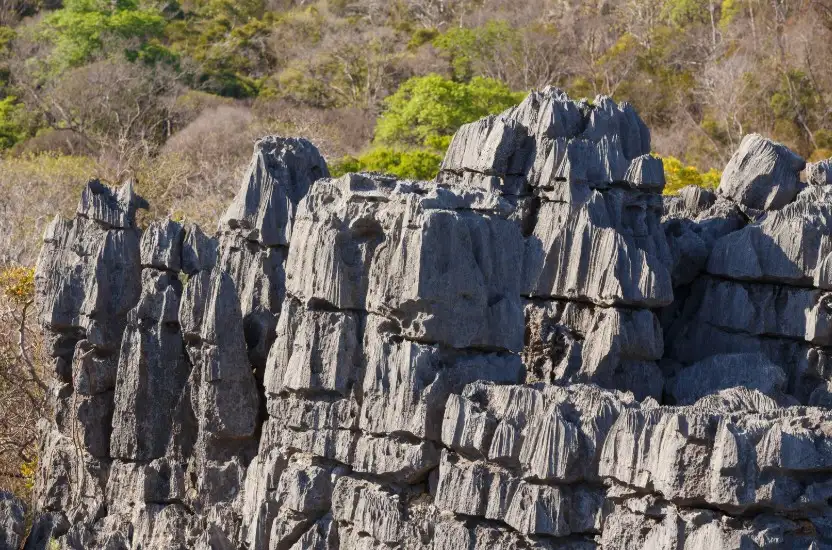 Ankarana National Park