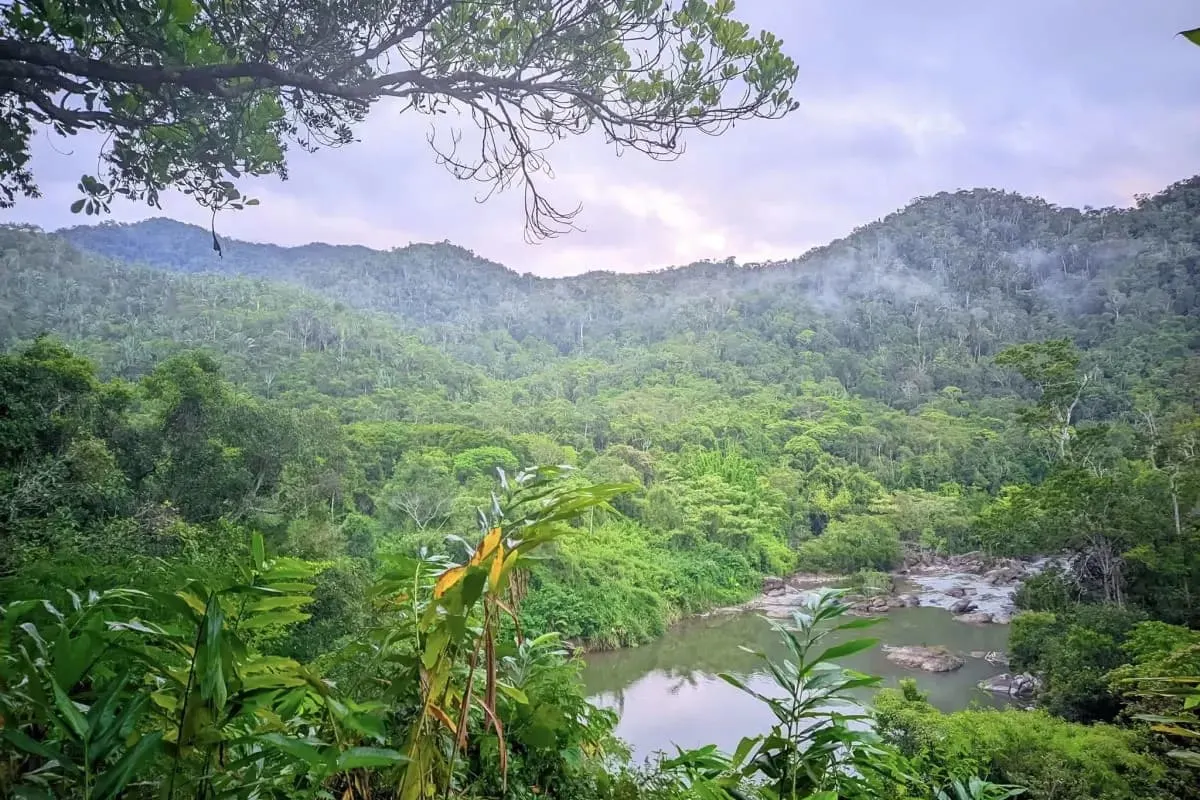 Zahamena National Park