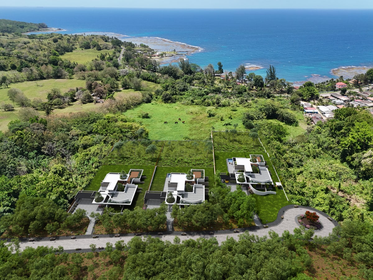 Villa Renderings in Panama - Image 1
