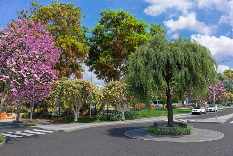 HaNarkis Street Development, Tel Mond - 5