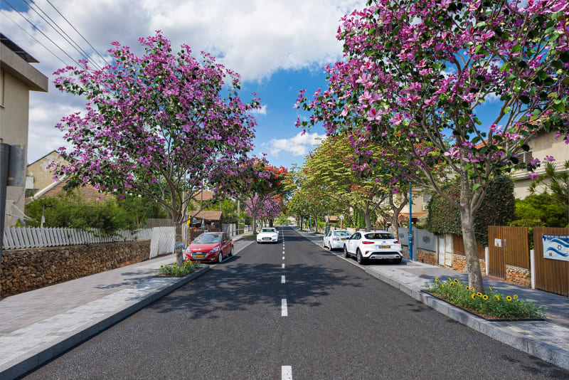 HaNarkis Street Development, Tel Mond - 7