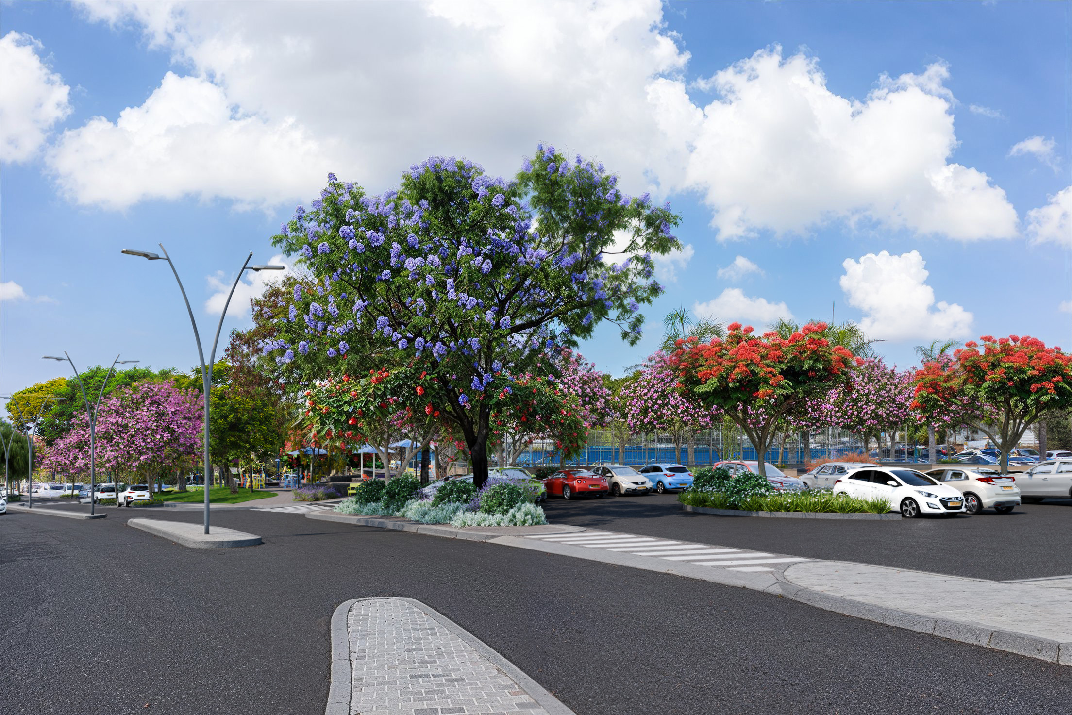 פיתוח רחוב הנרקיס