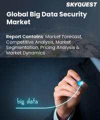 Global Big Data Security Market