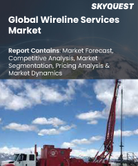 Global Wireline Services Market