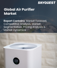 Global Air Purifier Market