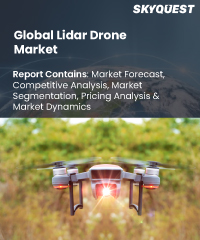 Global lidar drone market