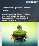 Global Biodegradable Polymer Market