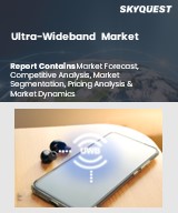 Global Ultra-Wideband Market