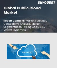 Global Public Cloud Market