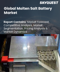 Global Molten Salt Battery Market
