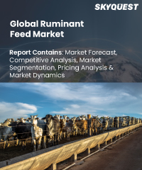 Ruminant Feed Market