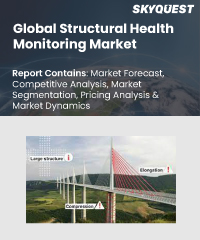 Global Structural Health Monitoring Market