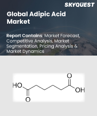 Global Adipic Acid Market