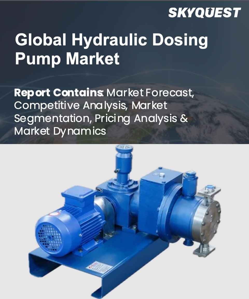 Global Hydraulic Dosing Pump Market
