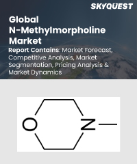 Global N-Methylmorpholine Market