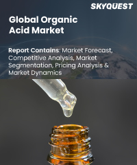 Global Organic Acid Market