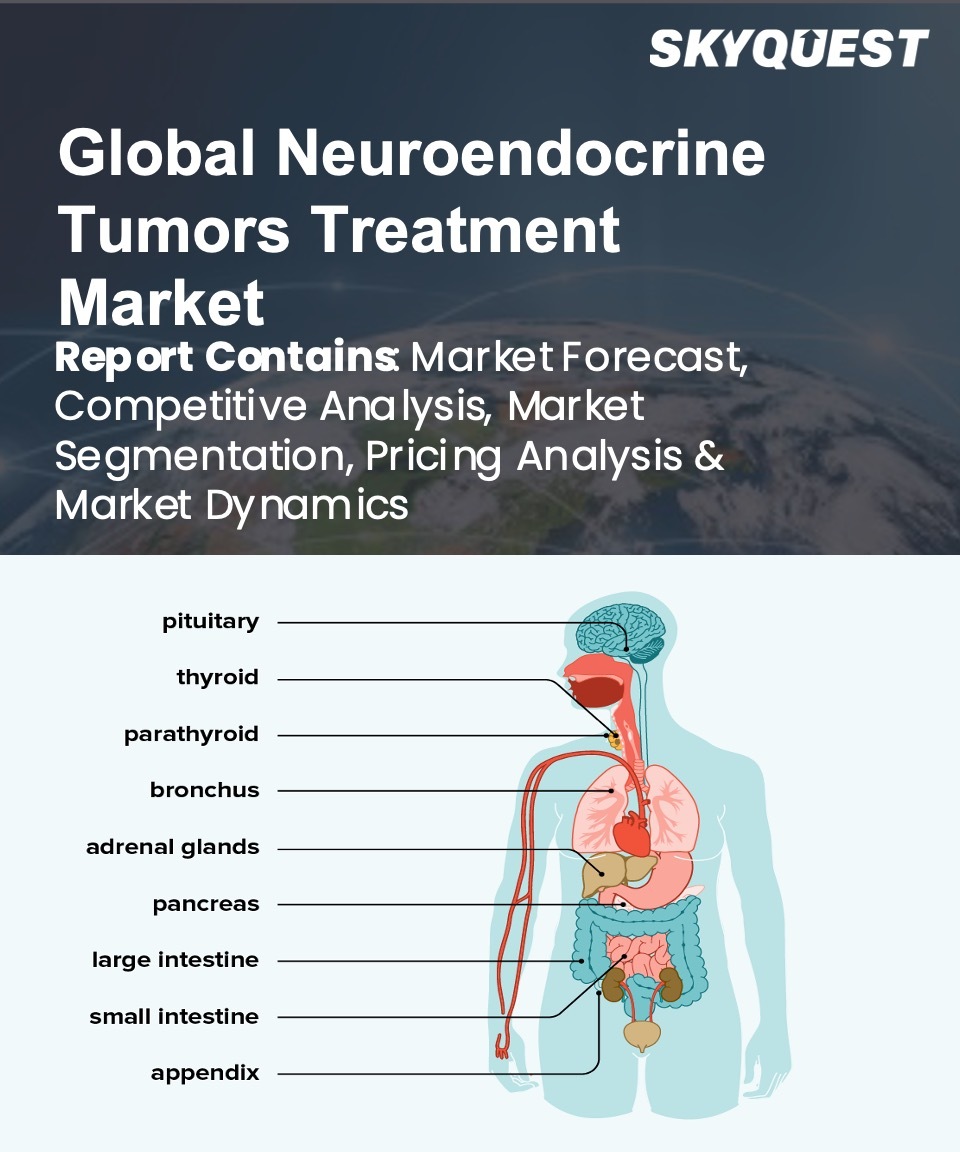 Global Neuroendocrine Tumors Treatment Market