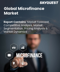 Global Microfinance Market