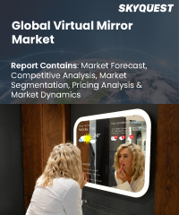 Global Virtual Mirror Market