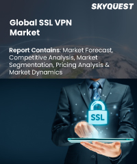 Global SSL VPN Market
