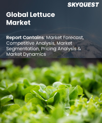 Global Lettuce Market