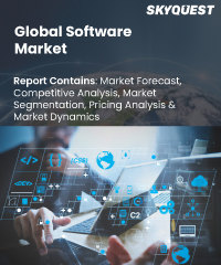 Global Software Market