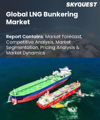 Global LNG Bunkering Market