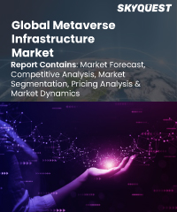 Global Metaverse Infrastructure Market
