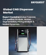 Global CNG Dispenser Market