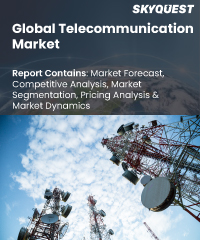 Global Telecommunication Market