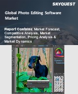 Global Photo Editing Software Market
